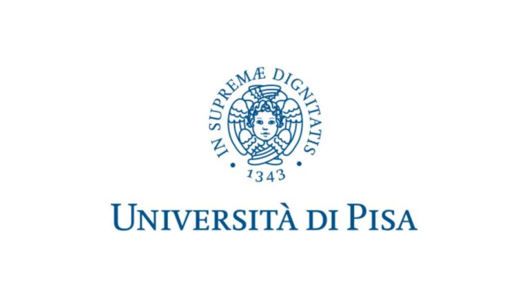 Concorso Università Pisa 2025